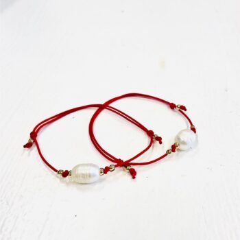 Kodusisustus 1 kaevoru punase paela ja parliga3